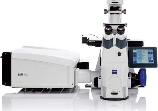新一代共聚焦显微镜LSM 980 with Airyscan 2